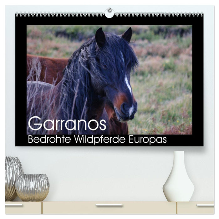 Garranos - Endangered Wild Horses of Europe (CALVENDO Premium Wall Calendar 2024) 