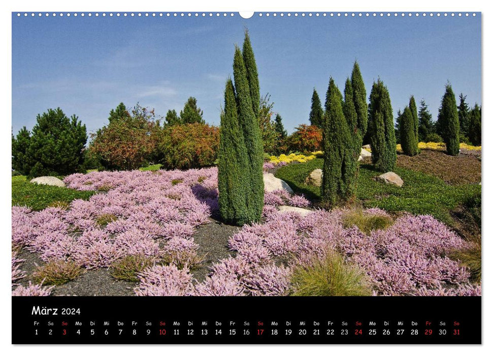 Findling Park Nochten 2024 (CALVENDO Premium Wall Calendar 2024) 