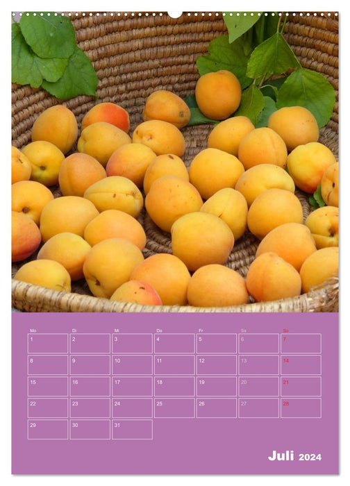 Sardinia's culinary treasures (CALVENDO Premium Wall Calendar 2024) 