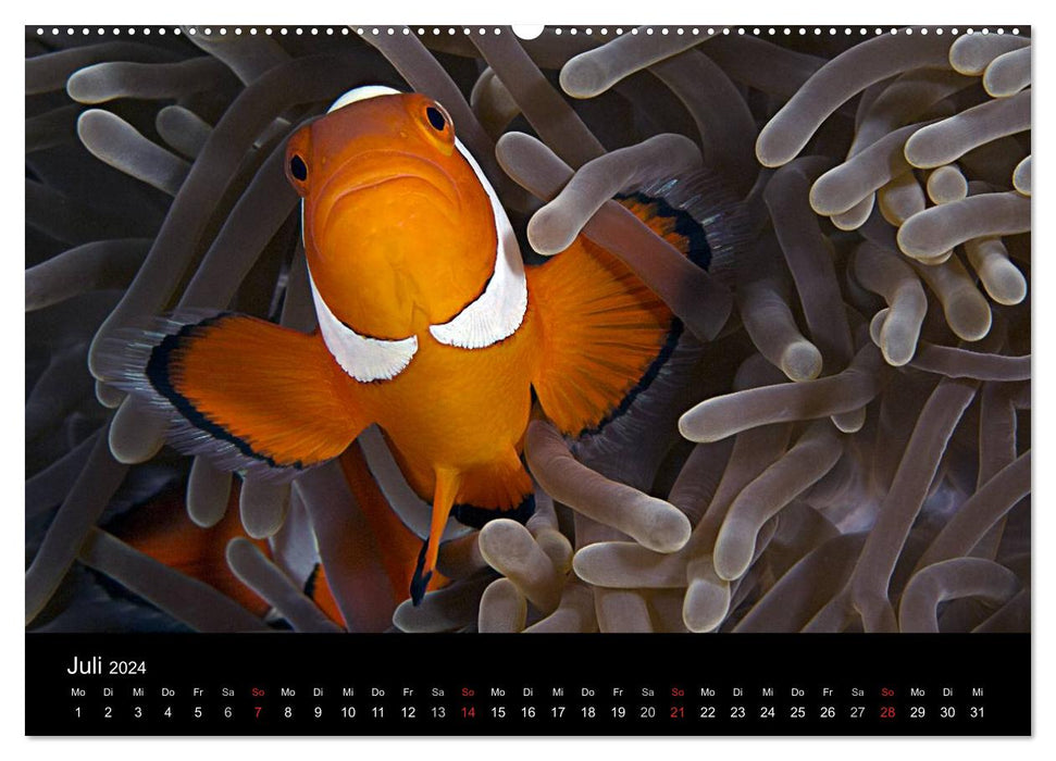 Philippines - Nature and Fiesta (CALVENDO Premium Wall Calendar 2024) 