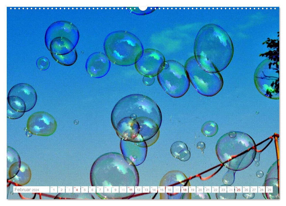 Soap bubbles sculptures and structures (CALVENDO Premium Wall Calendar 2024) 