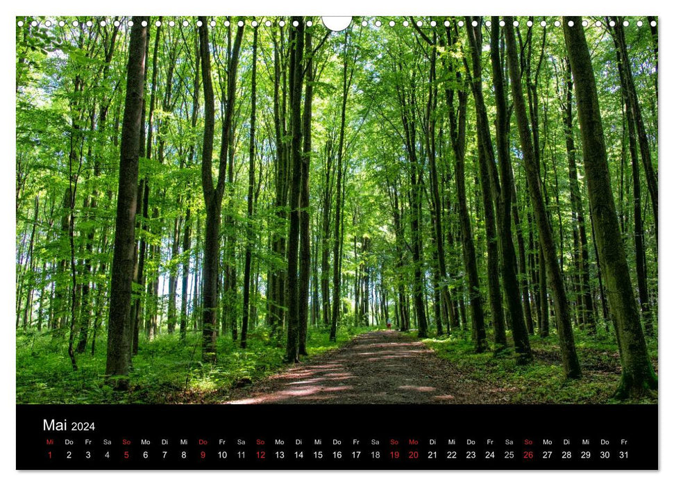 Meerbusch. Meerer Busch (CALVENDO Wandkalender 2024)