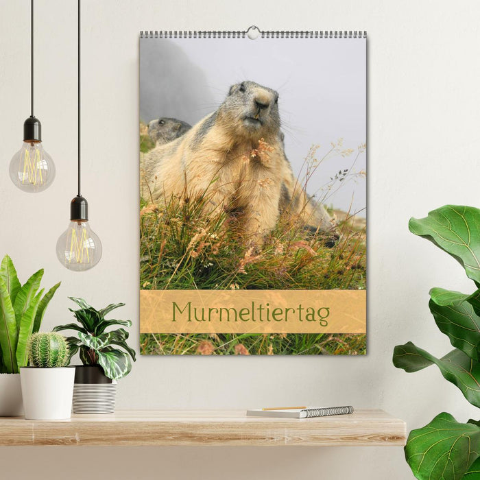 Murmeltiertag (CALVENDO Wandkalender 2024)