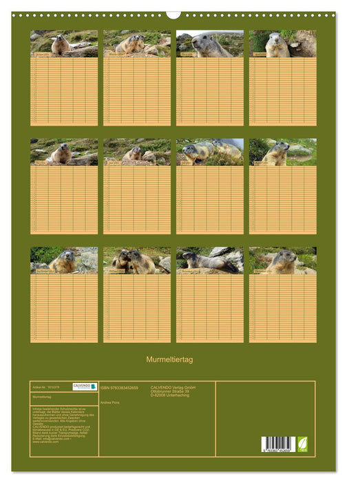 Murmeltiertag (CALVENDO Wandkalender 2024)