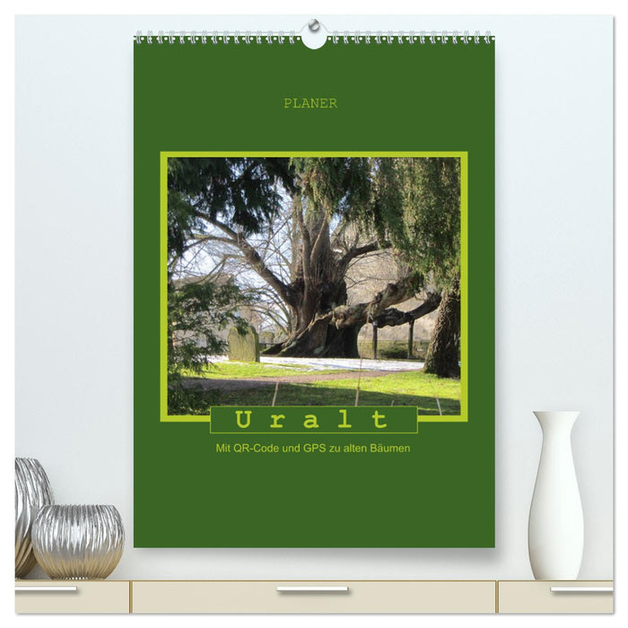 Ancient - With QR code and GPS to old trees (CALVENDO Premium Wall Calendar 2024) 