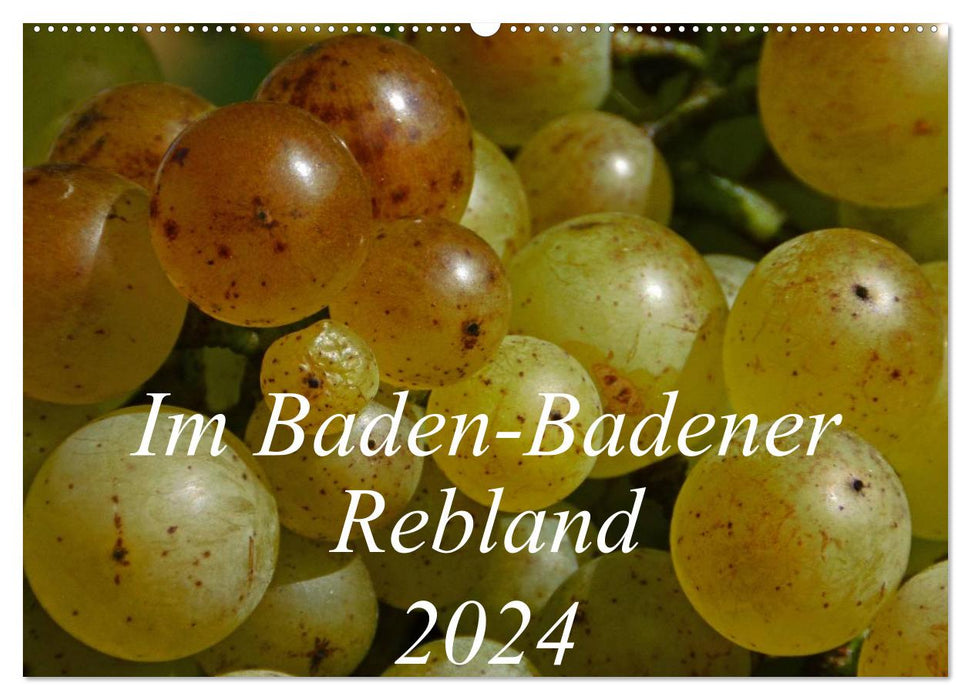 Im Baden-Badener Rebland 2024 (CALVENDO Wandkalender 2024)