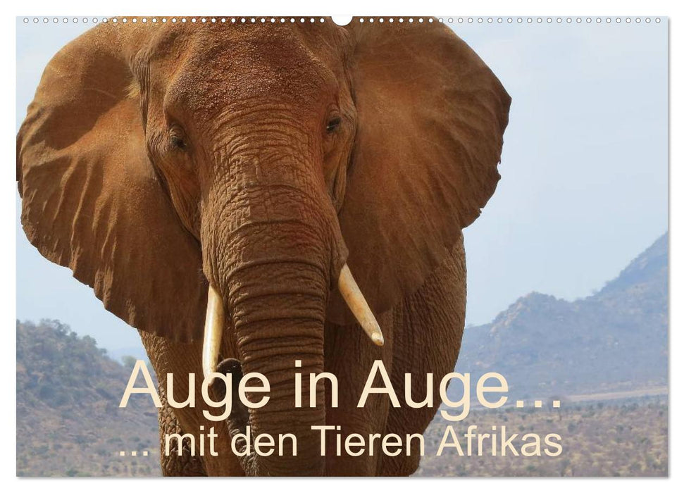 Auge in Auge mit den Tieren Afrikas (CALVENDO Wandkalender 2024)