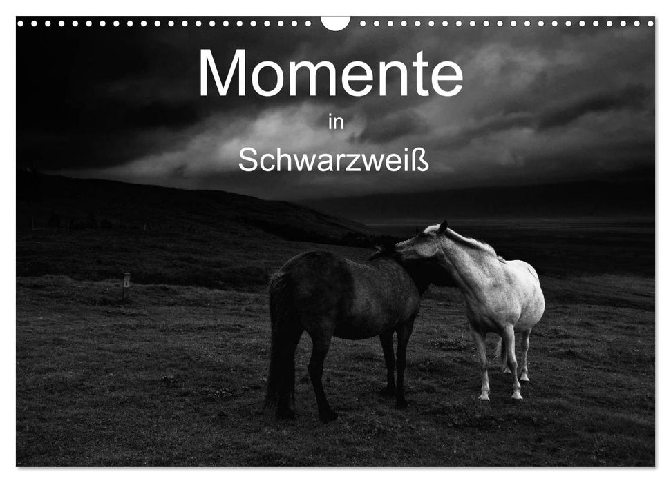 Momente in Schwarzweiß (CALVENDO Wandkalender 2024)