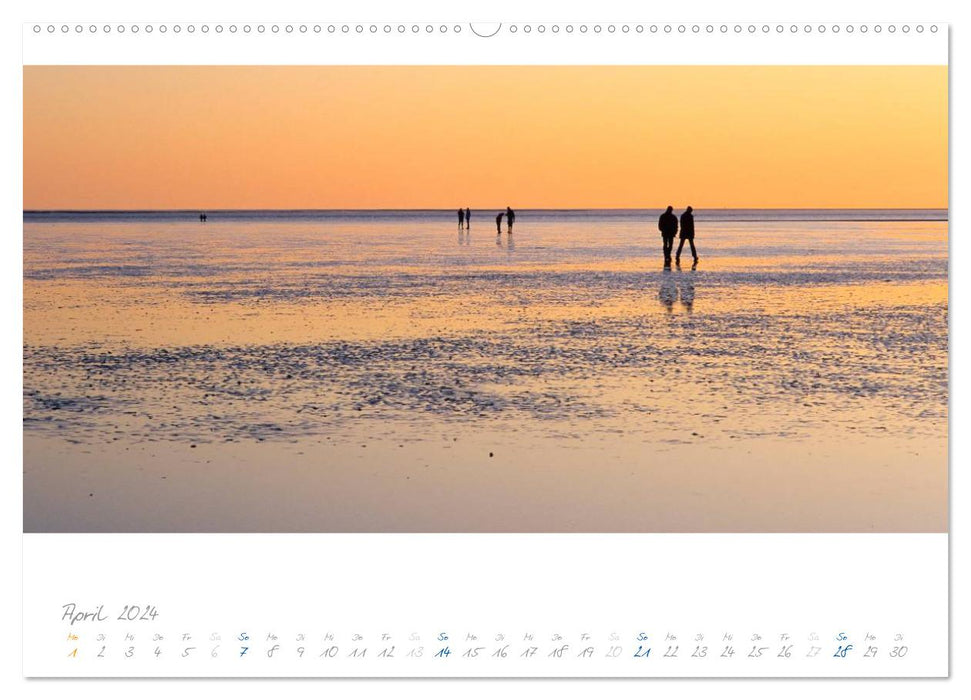 Am Meer (CALVENDO Wandkalender 2024)