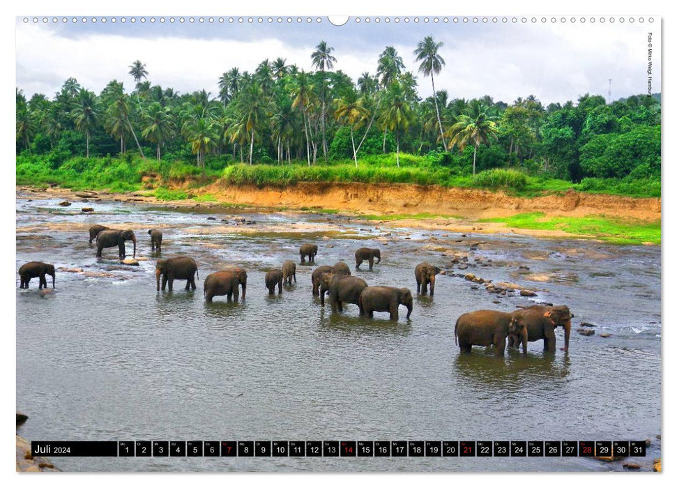 Sri Lanka 2024 – Exotische Welt (CALVENDO Premium Wandkalender 2024)