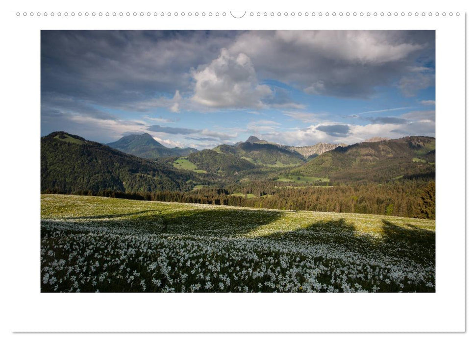 Natur und Landschaft in der Schweiz (CALVENDO Wandkalender 2024)