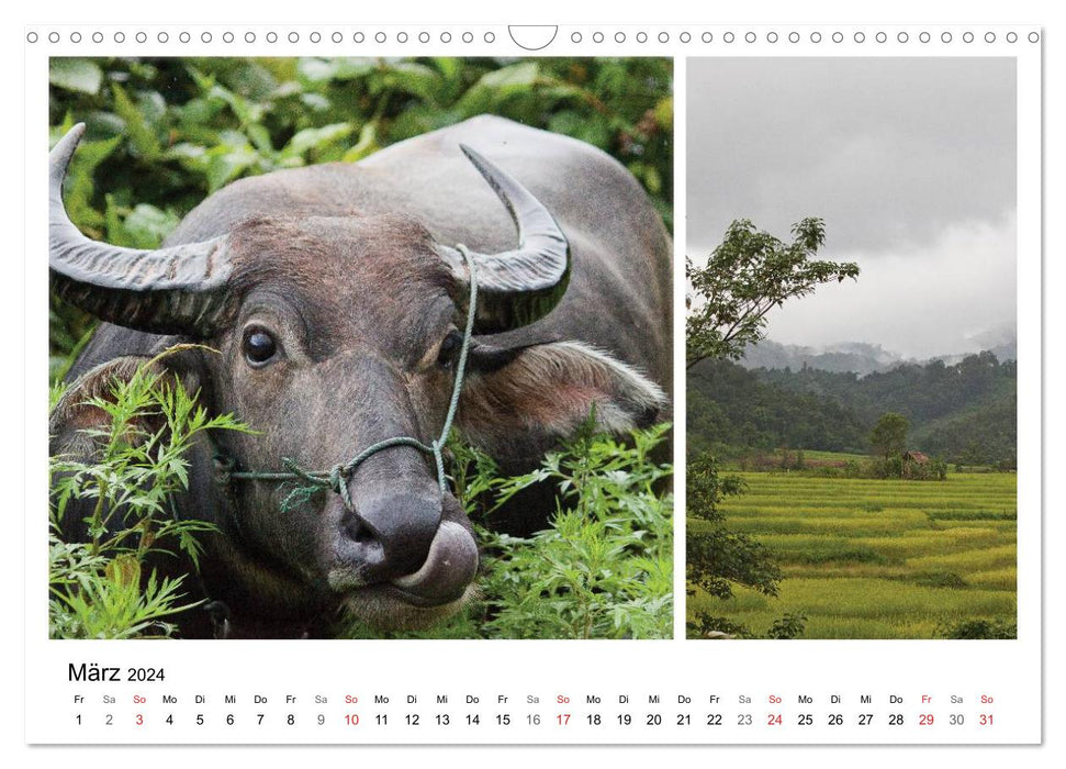 Reisefreu(n)de: Laos (CALVENDO Wandkalender 2024)