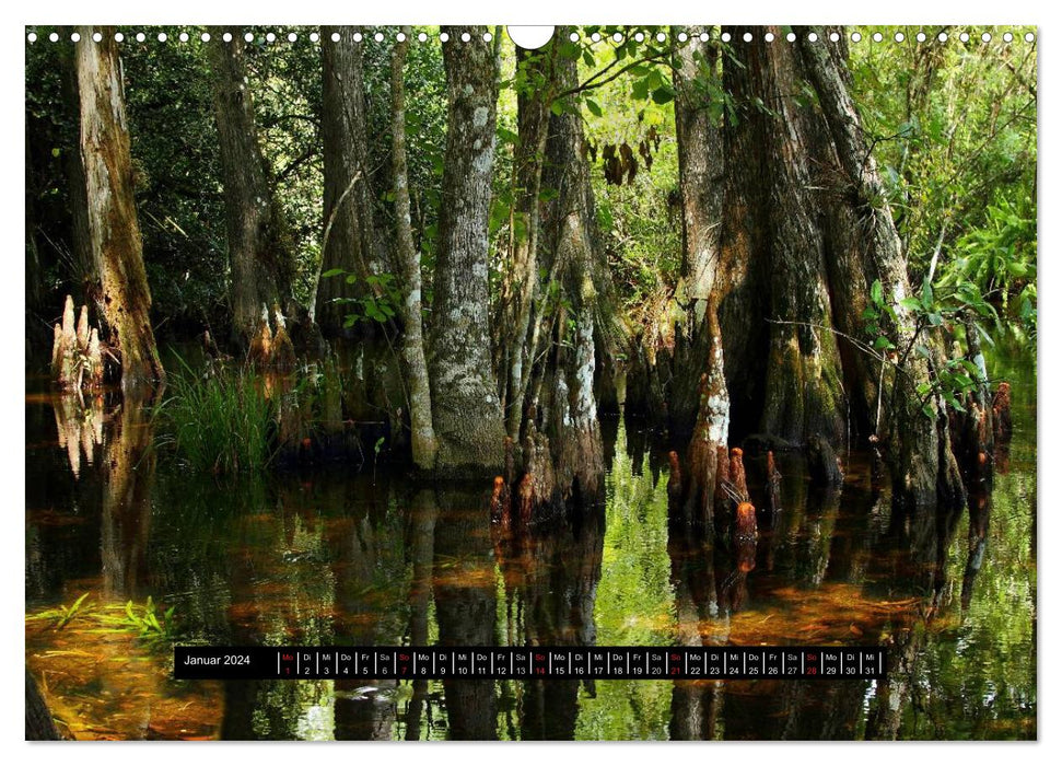 Florida Impressionen (CALVENDO Wandkalender 2024)