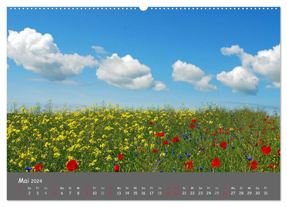Wunderschöne Landschaften des Nordens (CALVENDO Premium Wandkalender 2024)