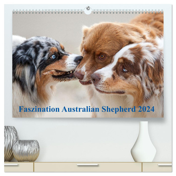 Australian Shepherd 2024 (CALVENDO Premium Wandkalender 2024)