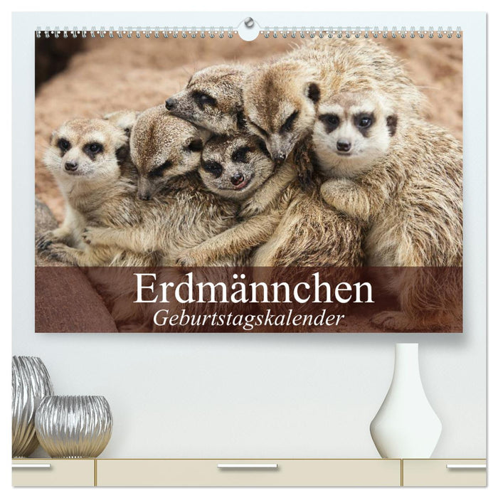 Erdmännchen (CALVENDO Premium Wandkalender 2024)