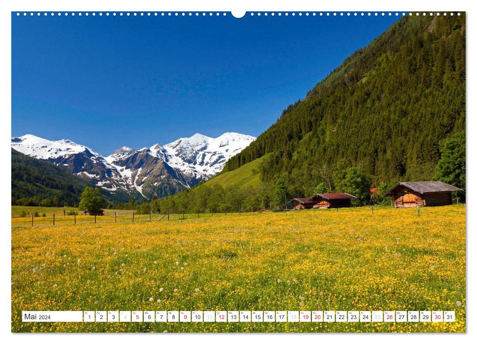 In den Pinzgau einig`schaut (CALVENDO Premium Wandkalender 2024)