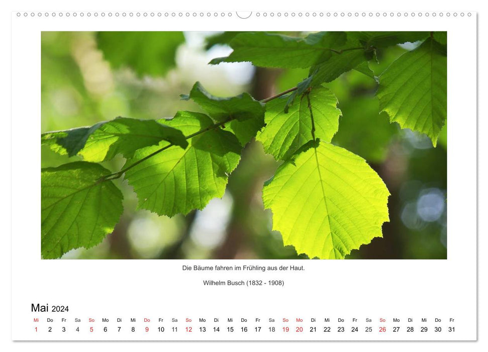 Der Naturkalender mit Zitaten und Sprüchen (CALVENDO Premium Wandkalender 2024)