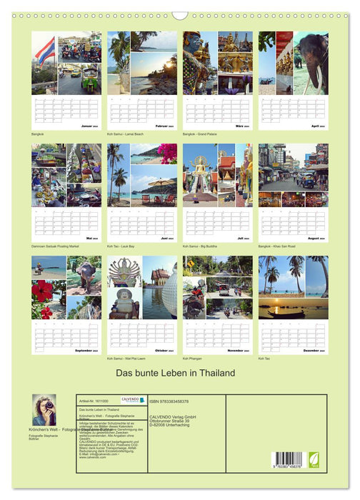 La vie colorée en Thaïlande (Calendrier mural CALVENDO 2024) 