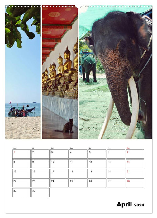 La vie colorée en Thaïlande (Calendrier mural CALVENDO 2024) 