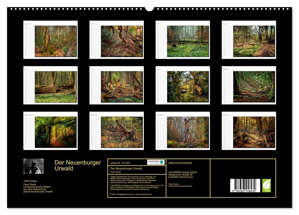 Der Neuenburger Urwald (CALVENDO Premium Wandkalender 2024)