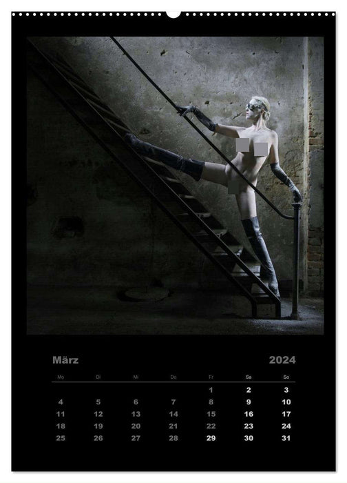 Akt im Sternenstaub EvE fotografiert von Rainer Matthias Gillessen (CALVENDO Premium Wandkalender 2024)
