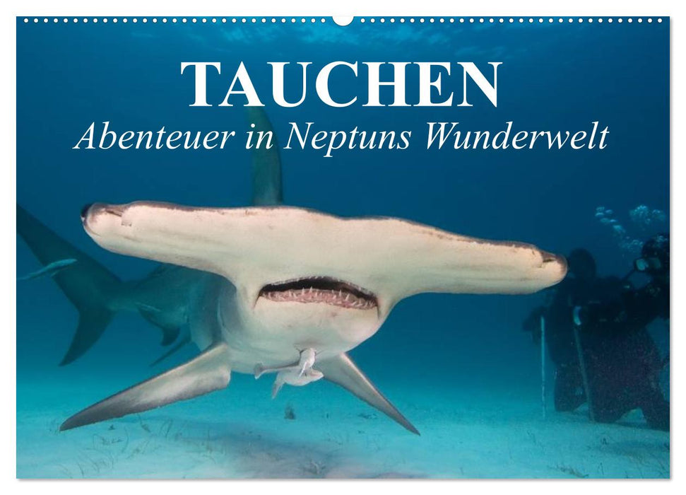 Tauchen - Abenteuer in Neptuns Wunderwelt (CALVENDO Wandkalender 2024)