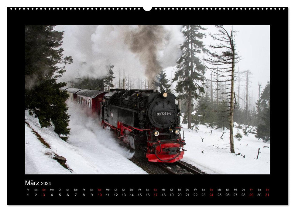Dampferlebnis im Harz (CALVENDO Premium Wandkalender 2024)