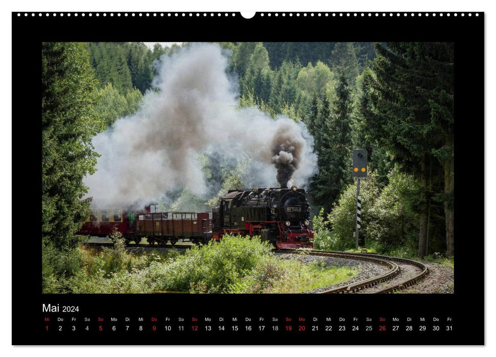 Dampferlebnis im Harz (CALVENDO Premium Wandkalender 2024)