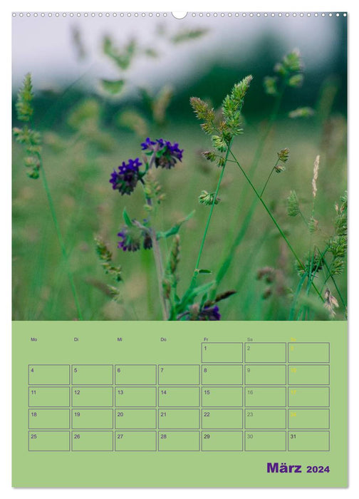 Wald- und Wiesenkalender 2024 Planer (CALVENDO Premium Wandkalender 2024)