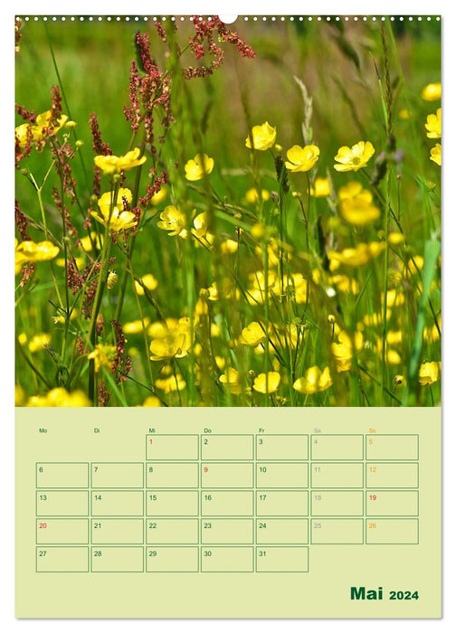 Wald- und Wiesenkalender 2024 Planer (CALVENDO Premium Wandkalender 2024)