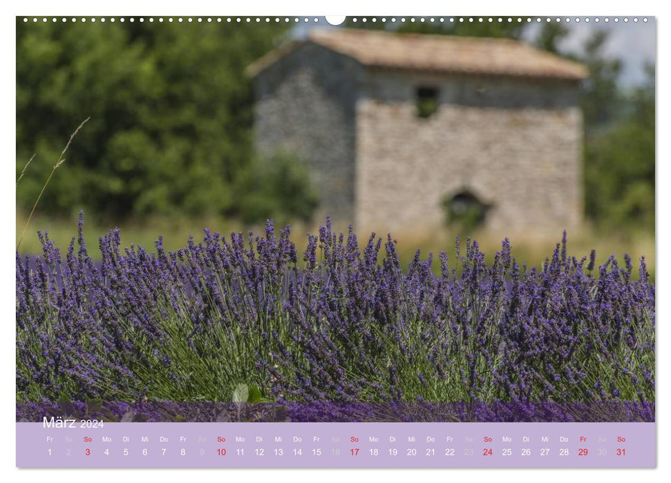 Die Farbe des Lavendels (CALVENDO Premium Wandkalender 2024)