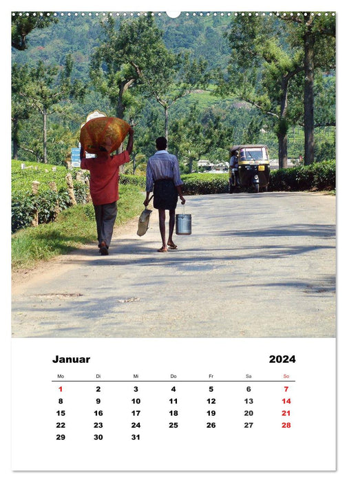 In Kerala (CALVENDO Premium Wandkalender 2024)