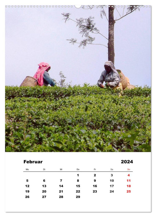 In Kerala (CALVENDO Premium Wandkalender 2024)