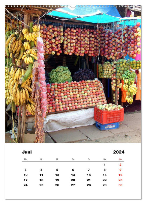 In Kerala (CALVENDO Premium Wandkalender 2024)