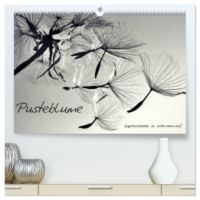 Pusteblume - Impressionen in schwarzweiß (CALVENDO Premium Wandkalender 2024)