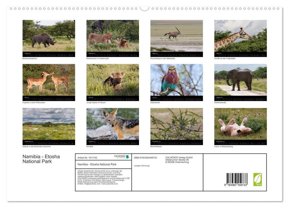 Namibia - Etosha National Park (CALVENDO Premium Wandkalender 2024)