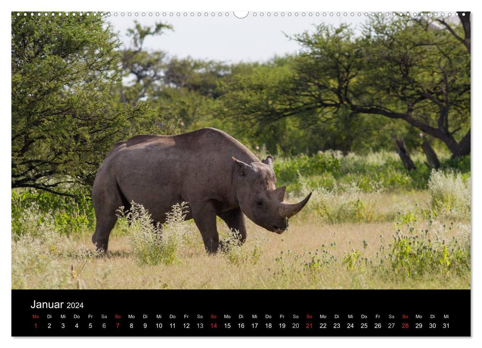 Namibia - Etosha National Park (CALVENDO Premium Wandkalender 2024)