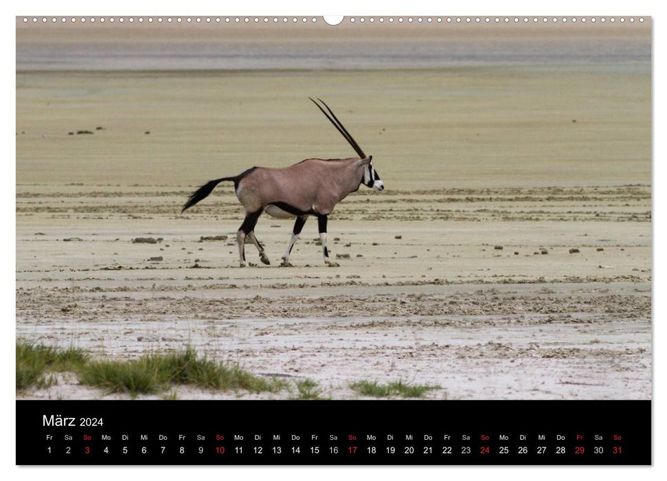 Namibia - Etosha National Park (CALVENDO Premium Wandkalender 2024)