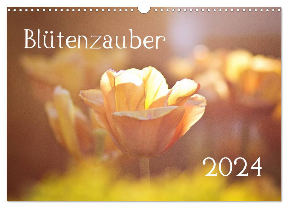 Magie des fleurs 2024 (Calendrier mural CALVENDO 2024) 