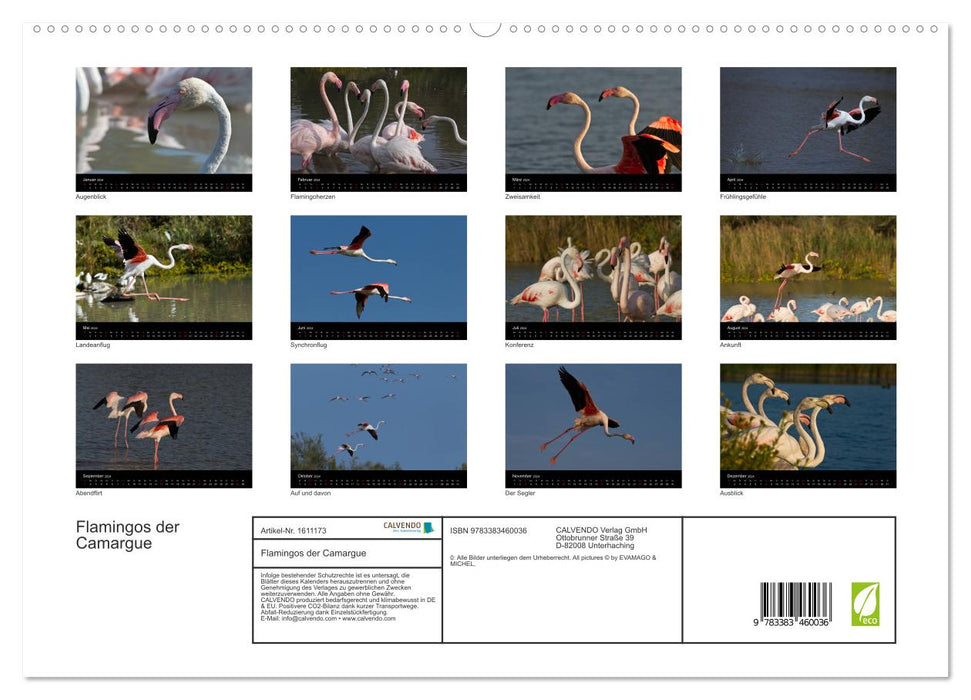 Flamingos der Camargue 2024 (CALVENDO Premium Wandkalender 2024)