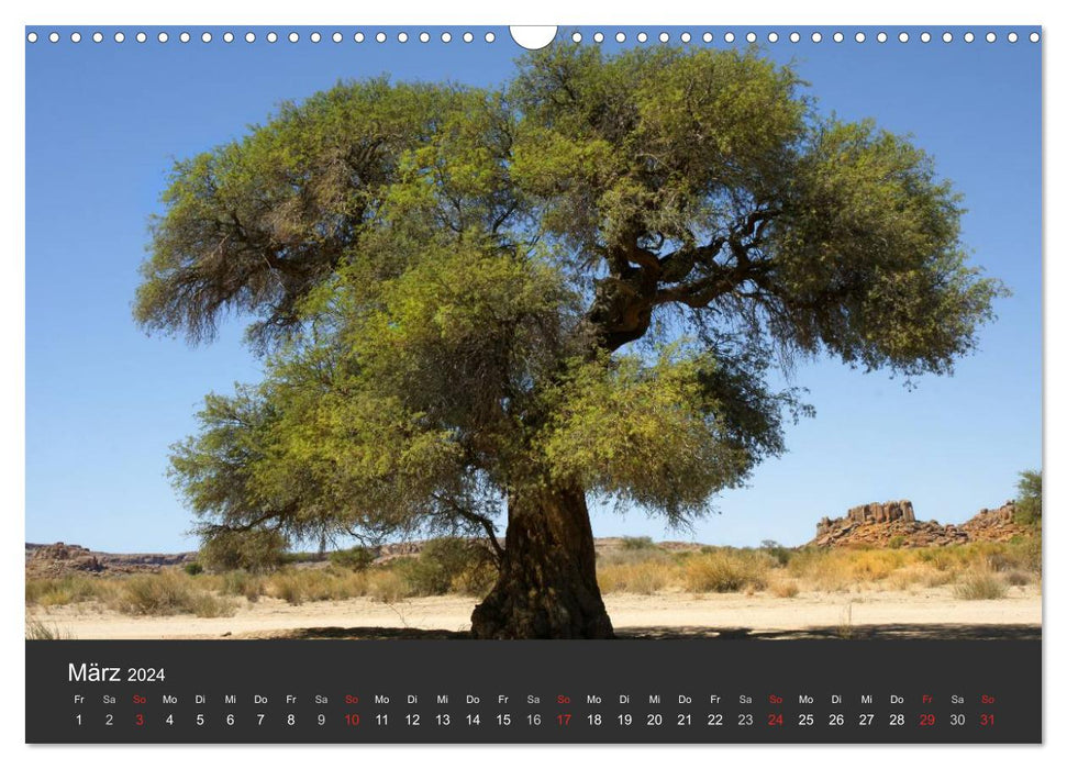 Alte Bäume Alte Veteranen (CALVENDO Wandkalender 2024)