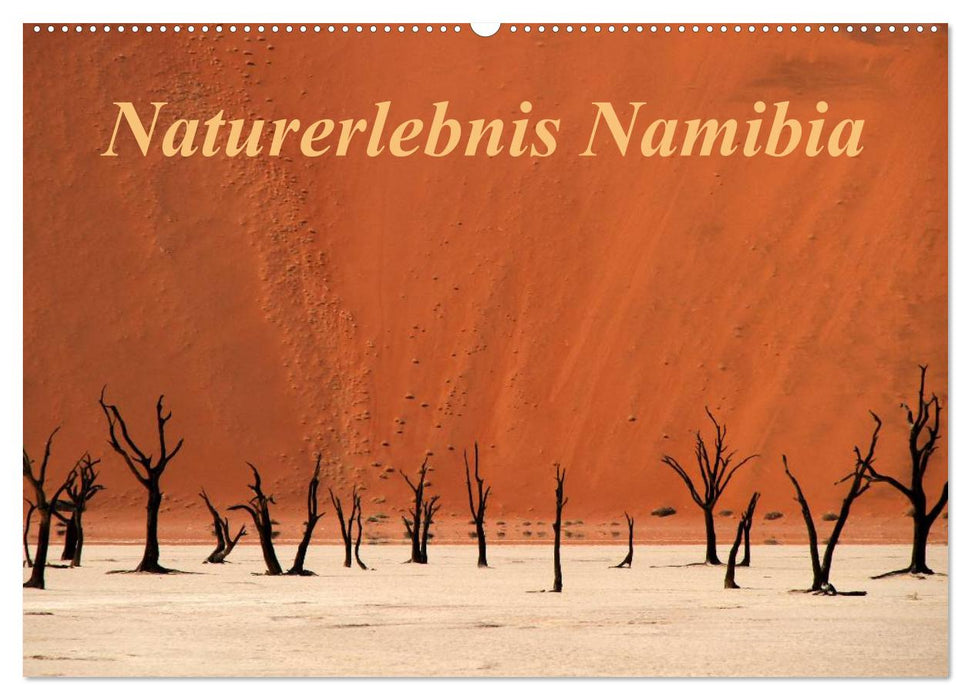Naturerlebnis Namibia (CALVENDO Wandkalender 2024)