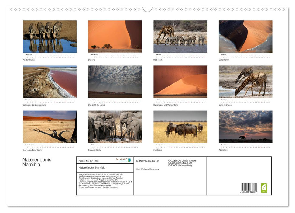 Naturerlebnis Namibia (CALVENDO Wandkalender 2024)