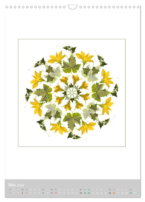 Plantes - mandalas composés de fleurs et de feuilles (calendrier mural CALVENDO 2024) 