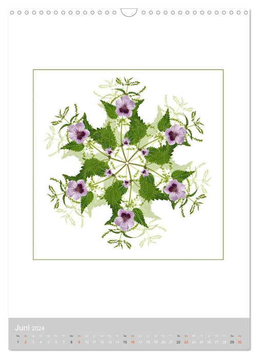 Plantes - mandalas composés de fleurs et de feuilles (calendrier mural CALVENDO 2024) 