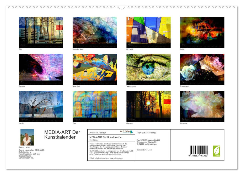 MEDIA-ART Der Kunstkalender (CALVENDO Premium Wandkalender 2024)