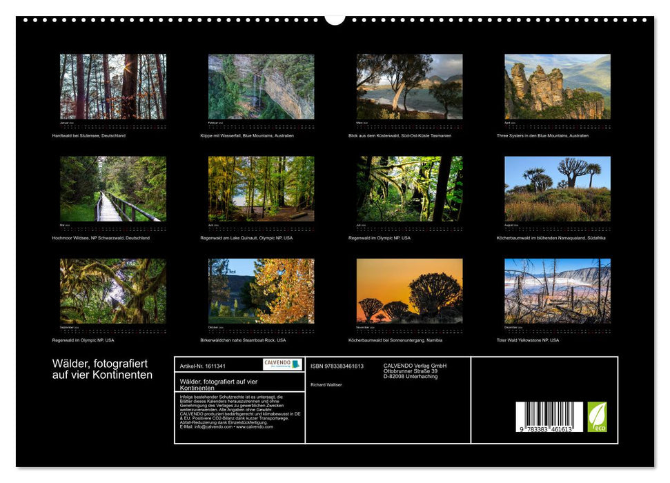 Forêts photographiées sur quatre continents (Calendrier mural CALVENDO Premium 2024) 
