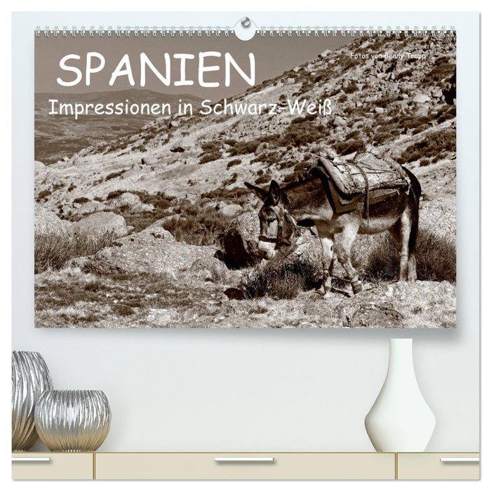 Spanien Impressionen in Schwarz-Weiß (CALVENDO Premium Wandkalender 2024)