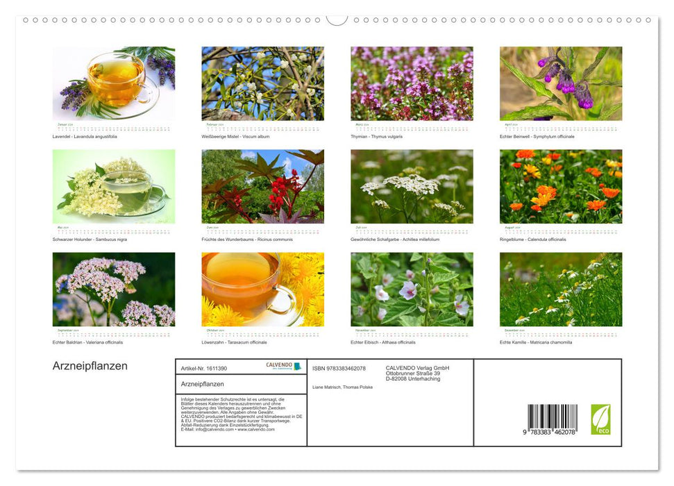Arzneipflanzen (CALVENDO Premium Wandkalender 2024)